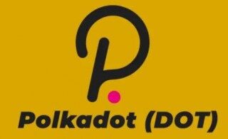 dot币交易中心手机版下载 dot币交易所下载最新