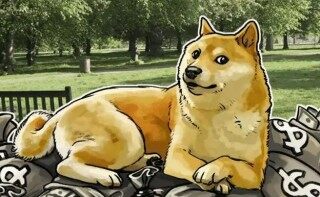 狗狗币钱包App 狗币手机客户端下载