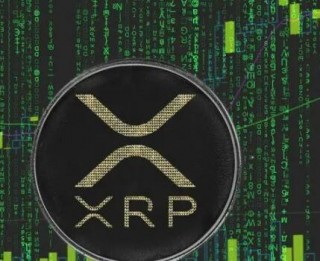 全球比特币交易平台|币圈哪个平台最好
