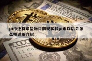 pi币还有希望吗目前现状和pi币以后会怎么样详细介绍