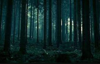 比特币中线剧情猜想:牛市周期确立 回调即为机会