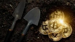 数字贸易平台有哪些|十大虚拟货币交易平台榜单一览