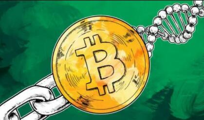 加密交易平台app(最新合集)