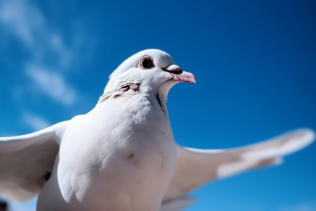 华尔街解读美联储6月会议纪要：通胀数据成利率决策唯一钥匙，短期无加息紧迫性